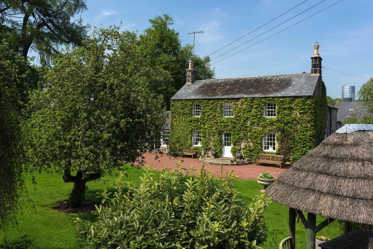Thistleyhaugh Farmhouse Longhorsley Kültér fotó